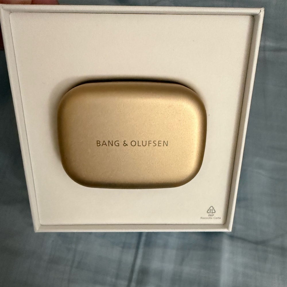 Bag and Olufsen Beoplay EQ wireless bluetooth earphone